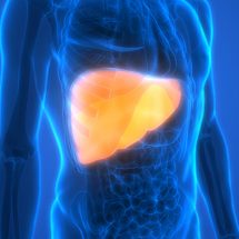 How to Improve Liver Function (in 5 Steps)