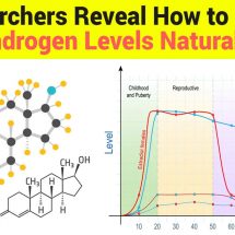 Researchers Reveal How to Lower Androgen Levels Naturally