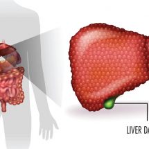 Scientists Explain 9 Ways to Heal Liver Damage