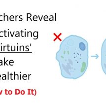 Harvard Researchers Reveal How Activating Your ‘Sirtuins’ Can Make You Healthier (And How to Do It)