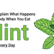 Scientists Explain What Happens to Your Body When You Eat Mint Every Day