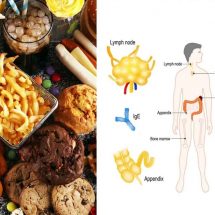 Doctors Reveal the Impact of Fast Food on Your Immune System