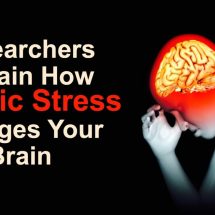 Researchers Explain How Chronic Stress Changes Your Brain