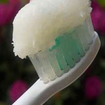 By Using Coconut Oil You Will Be Able To Reverse Cavities And Heal Decomposed Teeth!