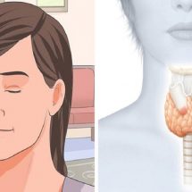 How to Reset Your Thyroid to Burn Fat and Activate Your Metabolism