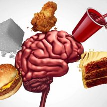 Science Reveals What Happens to Your Brain When You Eat Fast Foods