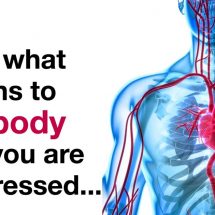 Scientists Explain 8 Things That Happen To Your Body When You’re Overstressed
