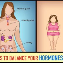 Top 5 Herbs To Balance Your Hormones Naturally