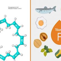 Heard of Vitamin F? Scientists Reveal How it Can Improve Your Health