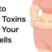 How to Flush Toxins From Your Fat Cells