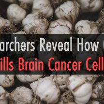 Researchers Reveal How Garlic Kills Brain Cancer Cells