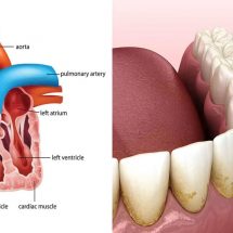 Scientists Explain How Brushing Your Teeth Keeps Your Heart Healthy